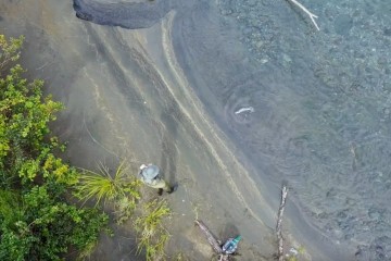 nzdrone