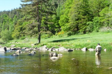 lozere