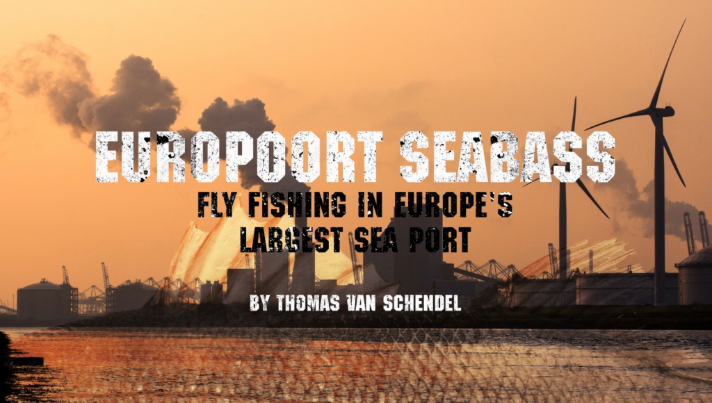 europort-seabass