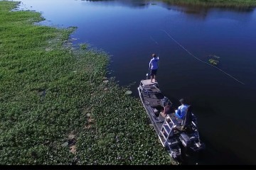 bass