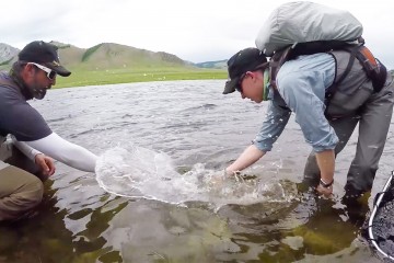 mongolia