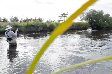 skhaline