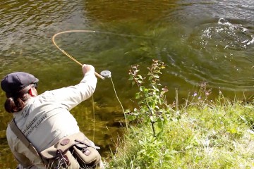 grayling