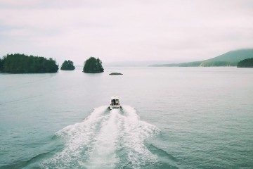 tofino