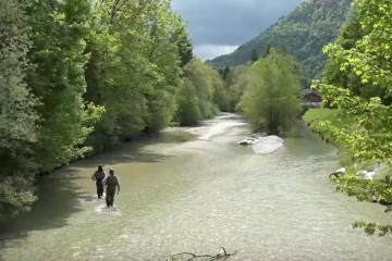 traun
