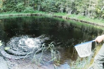 poreuh