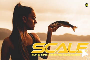 scale-cover