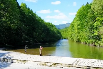 traun