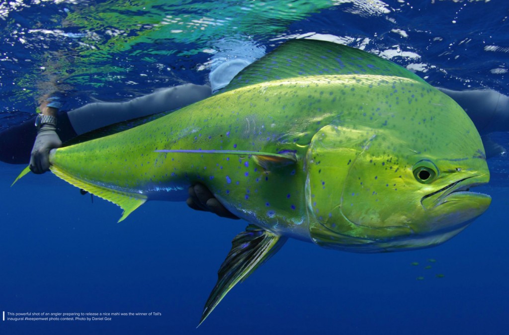 mahi