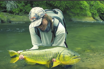 dorado
