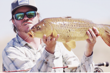 carp