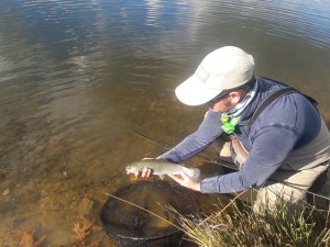 45247853_1848084235300980_4081366353187962880_n