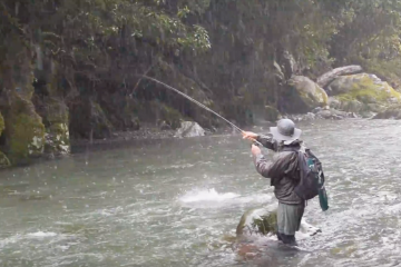 NZ