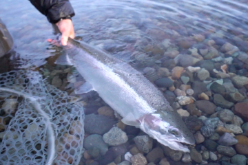 alaska