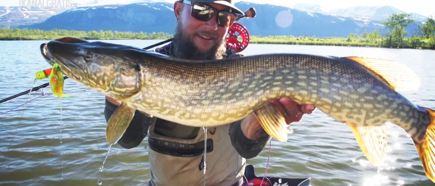 Peche du brochet a la mouche Clearance