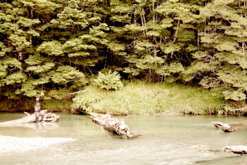 trout