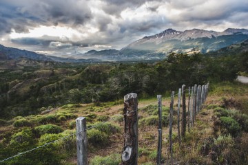 IMG_4102