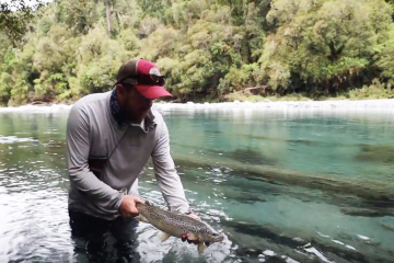 NZ