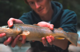 [A day in the DOLOMITE] Fly fishing teaser