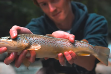 [A day in the DOLOMITE] Fly fishing teaser