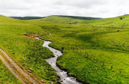 cantal