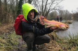 29497896_216955498883165_3548887741032824832_n