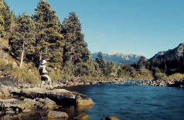 Capture d’écran 2025-10-21 à 15.13.56