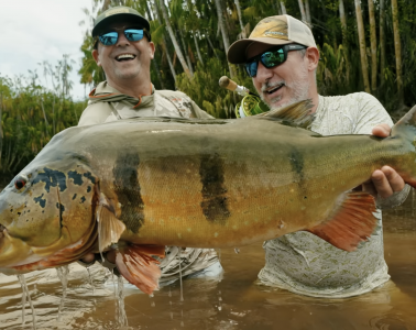 Capture d’écran 2025-10-24 à 12.59.21