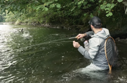 Capture d’écran 2025-11-07 à 10.54.30