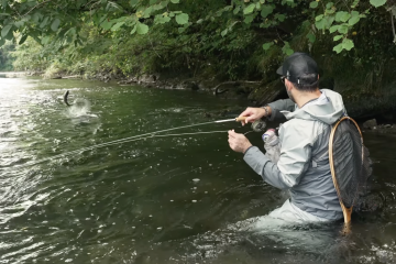 Capture d’écran 2025-11-07 à 10.54.30