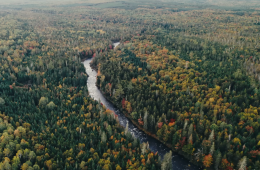 Capture d’écran 2025-11-14 à 11.36.38