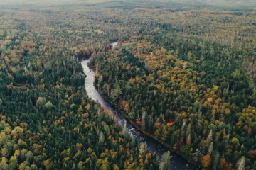 Capture d’écran 2025-11-14 à 11.36.38