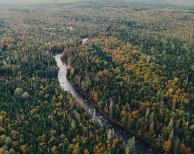 Capture d’écran 2025-11-14 à 11.36.38