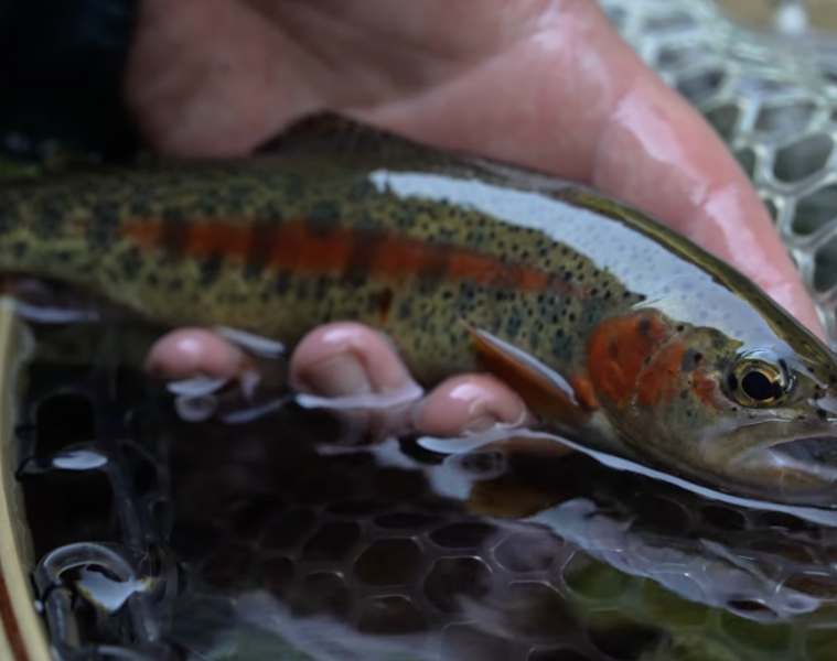 Capture d’écran 2025-12-01 à 12.11.34