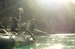 Capture d’écran 2025-12-15 à 15.47.18