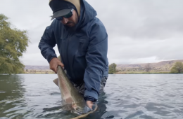 Capture d’écran 2025-12-21 à 16.49.36