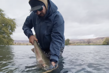 Capture d’écran 2025-12-21 à 16.49.36