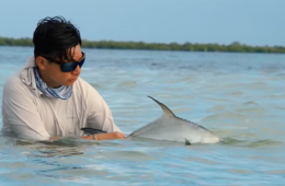 Capture d’écran 2025-12-25 à 15.48.45