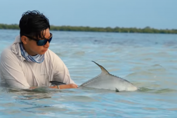 Capture d’écran 2025-12-25 à 15.48.45