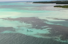 Capture d’écran 2025-12-29 à 15.42.21