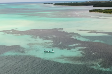 Capture d’écran 2025-12-29 à 15.42.21