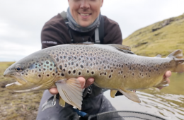 Capture d’écran 2026-01-05 à 15.41.57