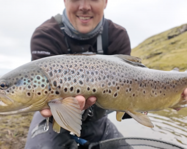 Capture d’écran 2026-01-05 à 15.41.57