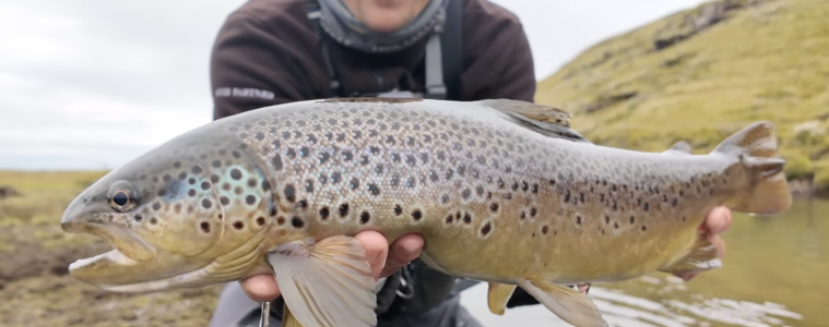 Capture d’écran 2026-01-05 à 15.41.57