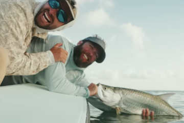 Capture d’écran 2026-01-17 à 17.42.03