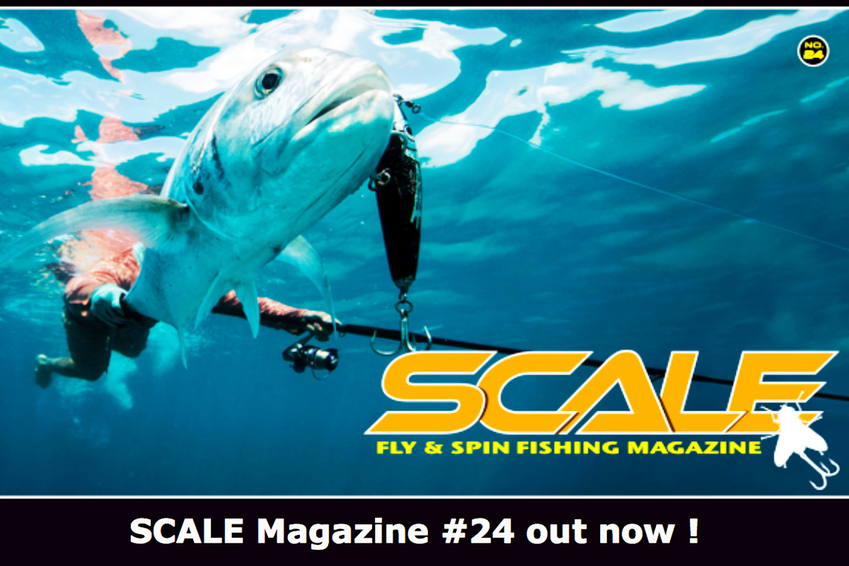 Scale 24 Scale #24 - Le Mouching